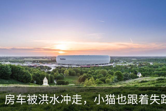 房车被洪水冲走，小猫也跟着失踪，8天后它突然回家了，全家人都哭了