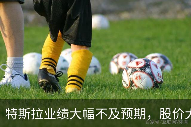特斯拉业绩大幅不及预期，股价大跌