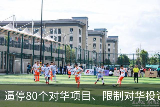 逼停80个对华项目、限制对华投资、关停孔子学院，美国已丧失自信